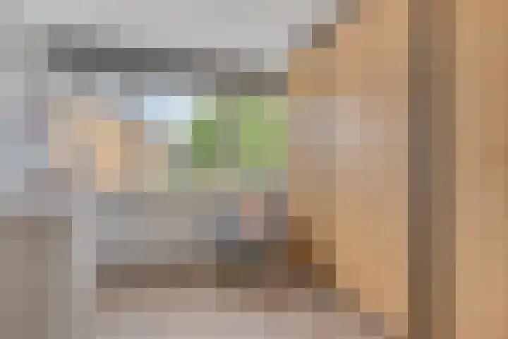 Tulestraat 5 Borne thumbnail 35