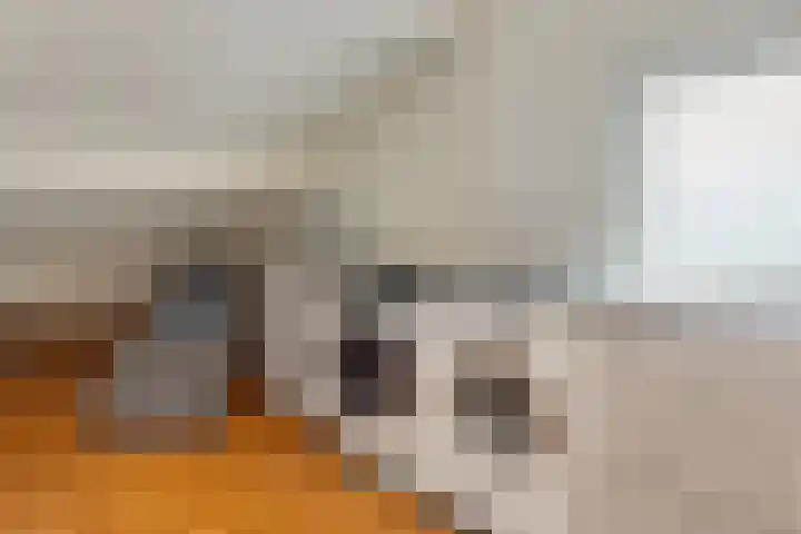 Tulestraat 5 Borne thumbnail 37