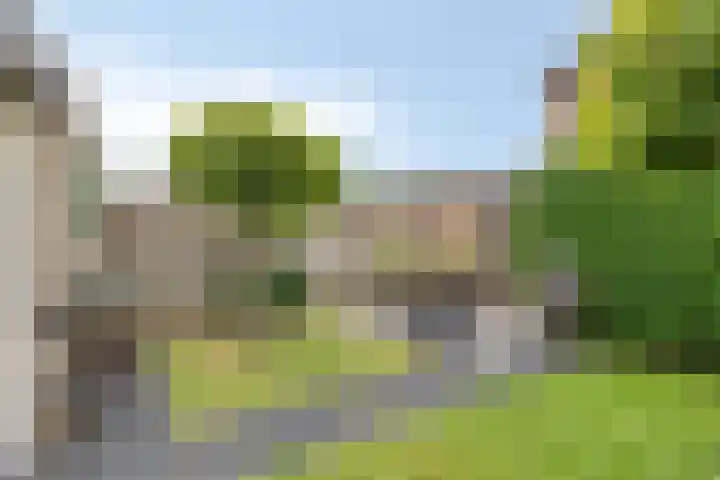 Tulestraat 5 Borne thumbnail 43
