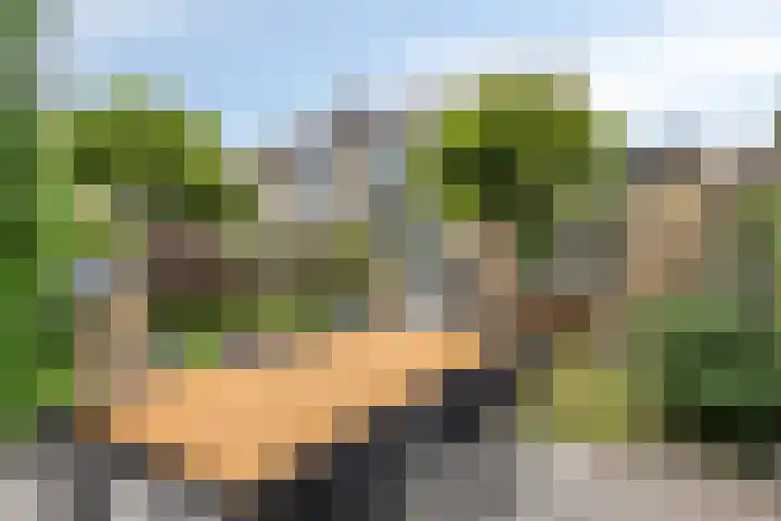 Tulestraat 5 Borne thumbnail 6