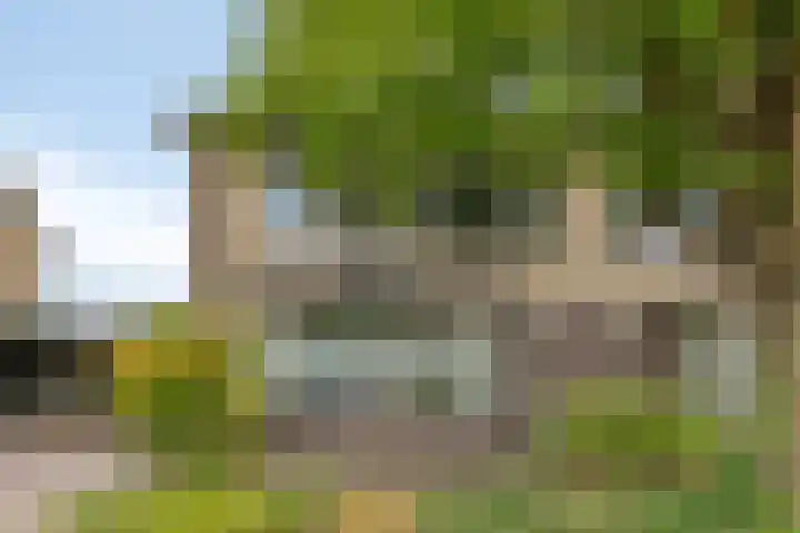 Tulestraat 5 Borne thumbnail 7