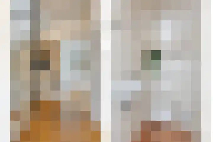 Tulestraat 5 Borne thumbnail 9