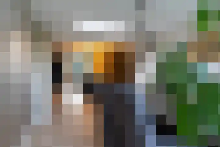 Tulipastrjitte 34 Stiens thumbnail 10