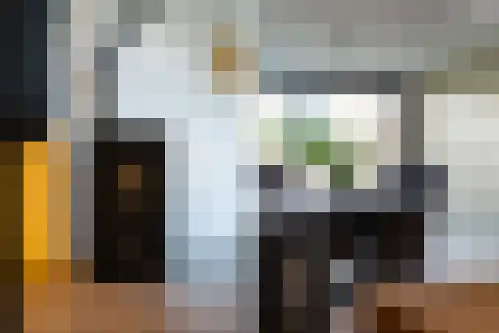Tulipastrjitte 34 Stiens thumbnail 13