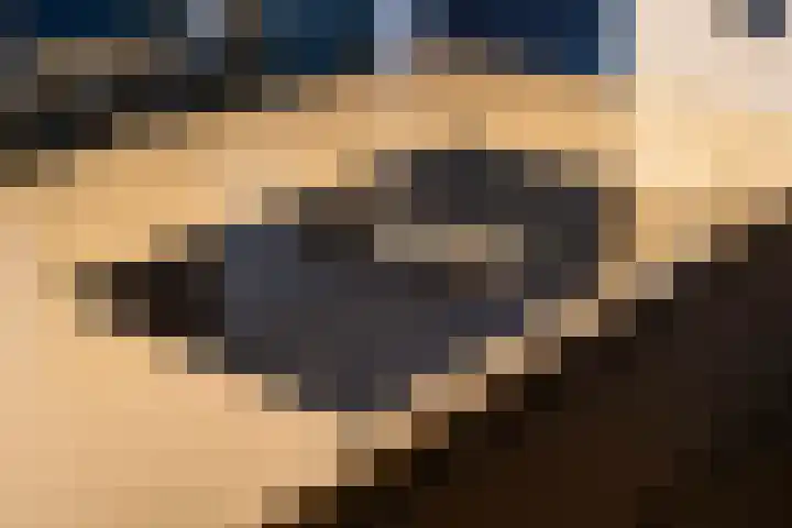 Tulipastrjitte 34 Stiens thumbnail 15