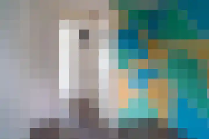 Tulipastrjitte 34 Stiens thumbnail 18