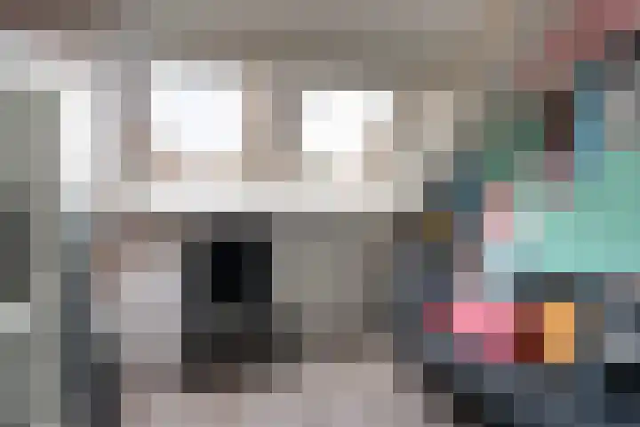 Tulipastrjitte 34 Stiens thumbnail 22