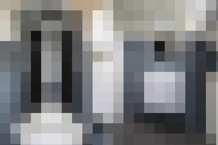 Tulipastrjitte 34 Stiens thumbnail 24