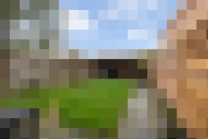 Tulipastrjitte 34 Stiens thumbnail 25