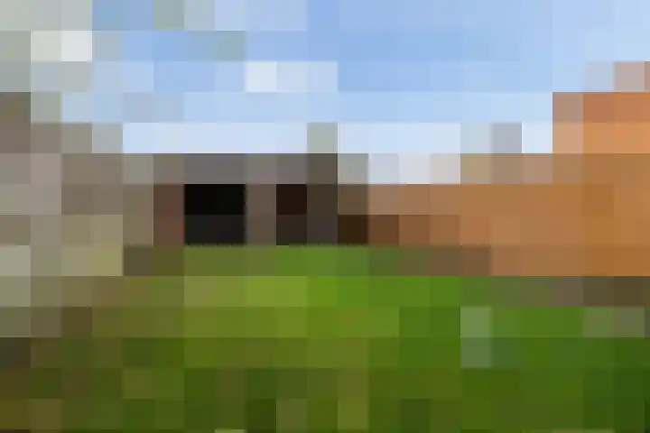 Tulipastrjitte 34 Stiens thumbnail 26