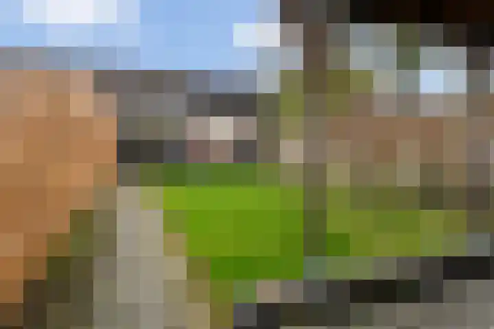 Tulipastrjitte 34 Stiens thumbnail 27