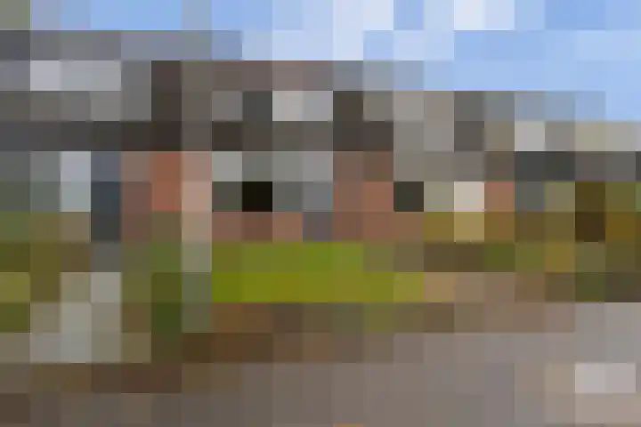 Tulipastrjitte 34 Stiens thumbnail 30