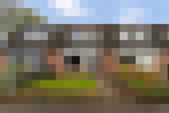 Tulipastrjitte 34 Stiens thumbnail 31