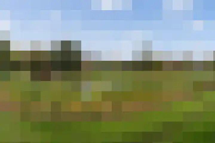 Tulipastrjitte 34 Stiens thumbnail 32