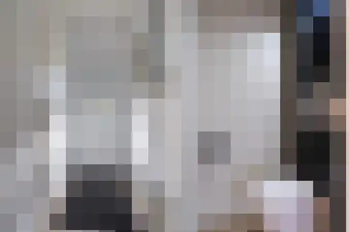 Tulipastrjitte 34 Stiens thumbnail 6