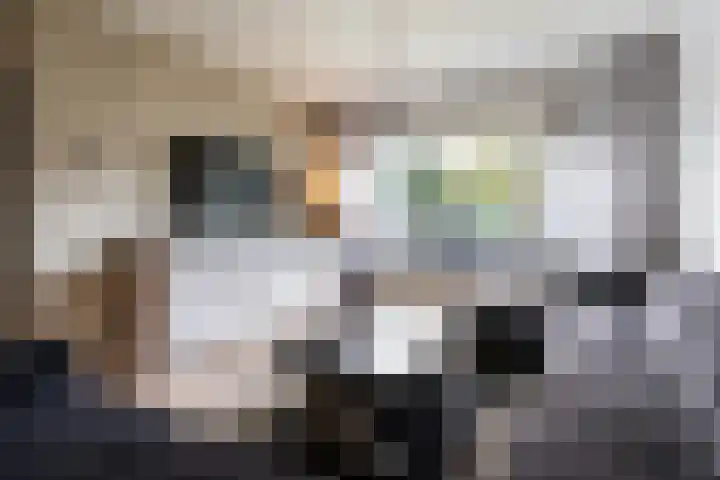 Tulipastrjitte 34 Stiens thumbnail 7