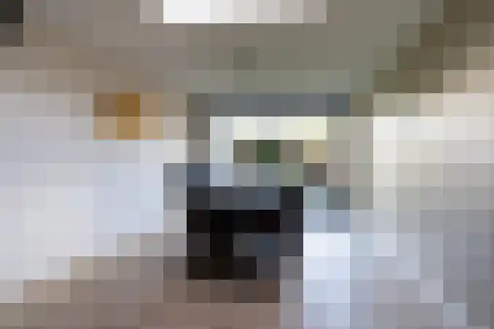 Tulipastrjitte 34 Stiens thumbnail 9