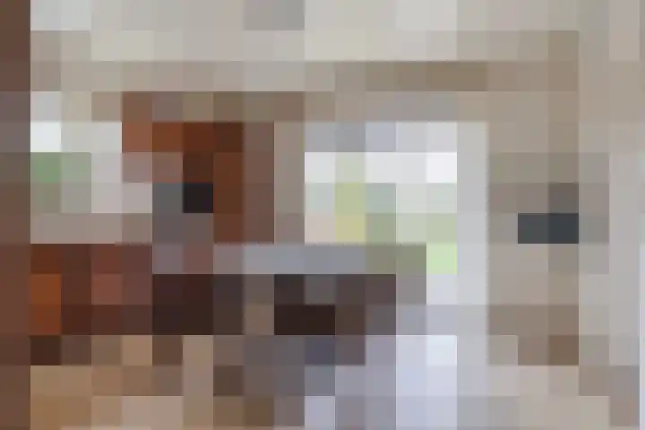 Tulipastrjitte 42 Stiens thumbnail 11