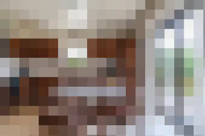 Tulipastrjitte 42 Stiens thumbnail 12