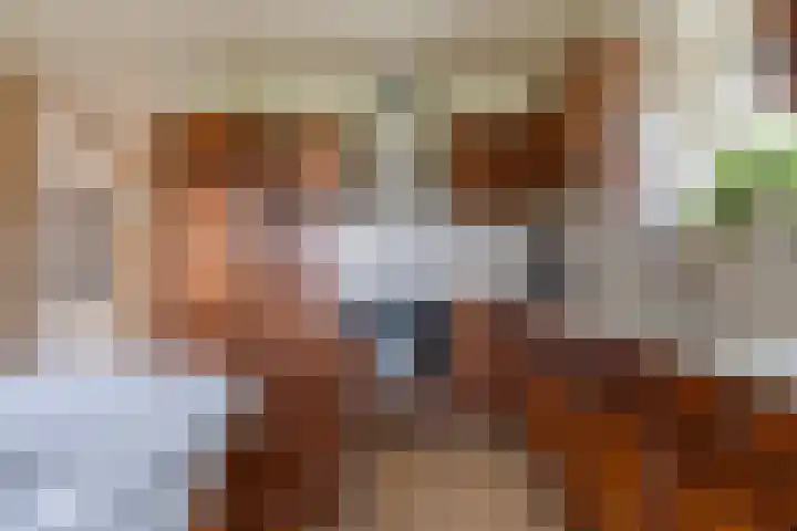 Tulipastrjitte 42 Stiens thumbnail 13
