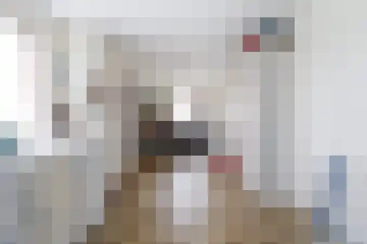 Tulipastrjitte 42 Stiens thumbnail 14