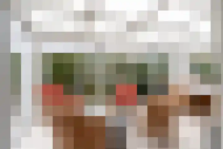 Tulipastrjitte 42 Stiens thumbnail 16