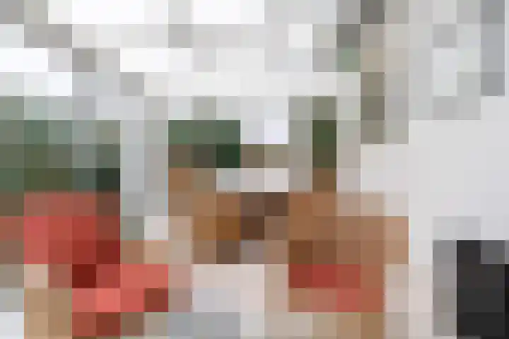 Tulipastrjitte 42 Stiens thumbnail 17