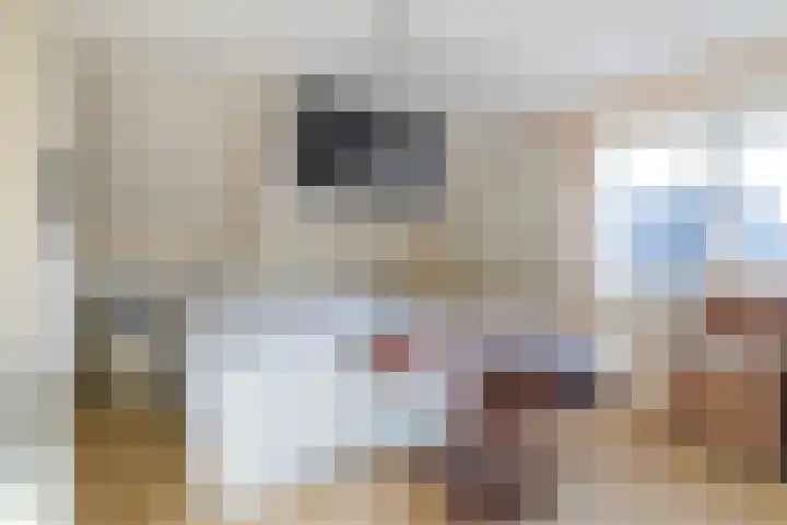 Tulipastrjitte 42 Stiens thumbnail 20
