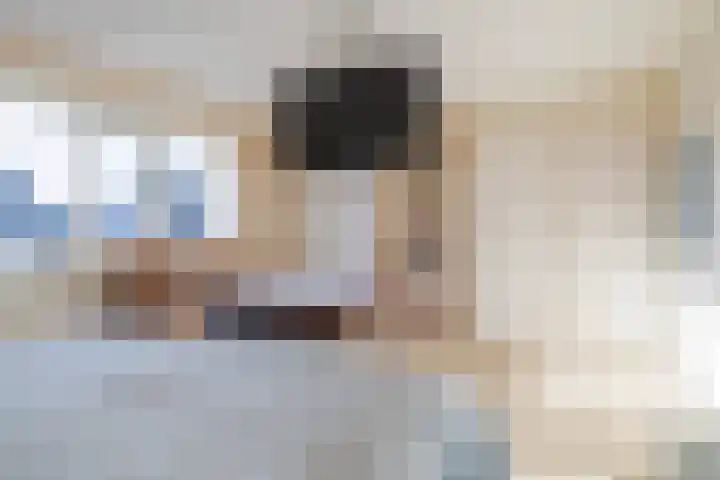 Tulipastrjitte 42 Stiens thumbnail 21