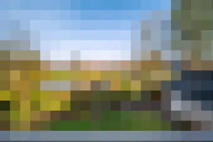 Tulipastrjitte 42 Stiens thumbnail 24