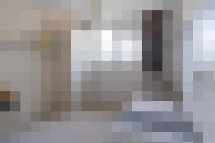 Tulipastrjitte 42 Stiens thumbnail 25