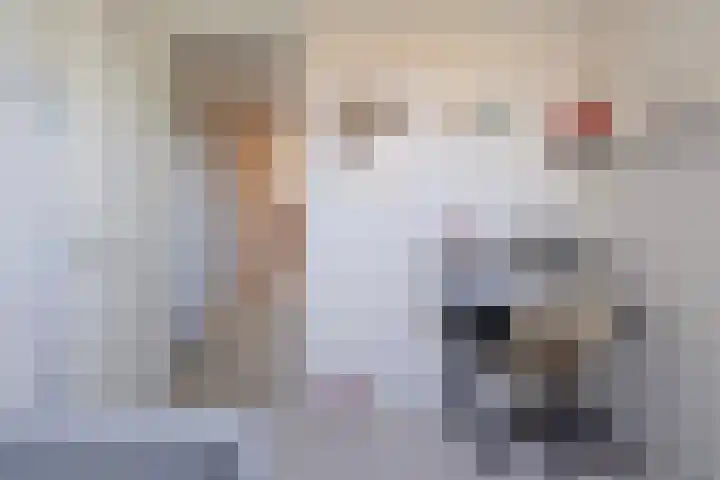 Tulipastrjitte 42 Stiens thumbnail 26