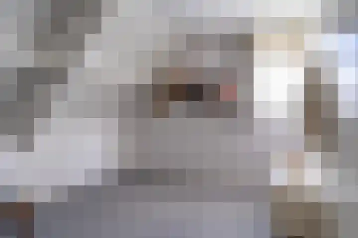 Tulipastrjitte 42 Stiens thumbnail 27