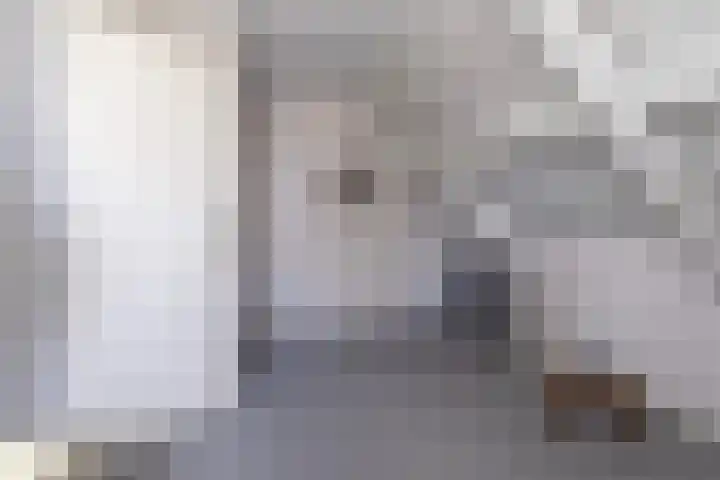 Tulipastrjitte 42 Stiens thumbnail 28