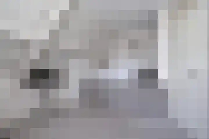 Tulipastrjitte 42 Stiens thumbnail 29