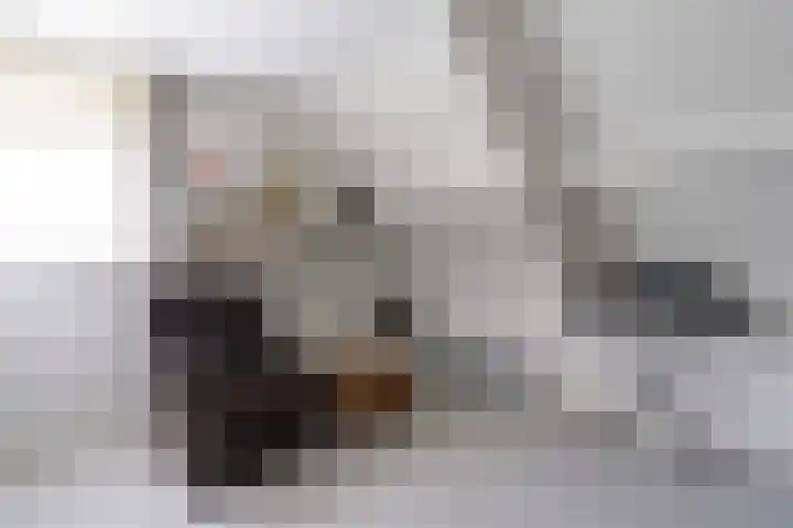Tulipastrjitte 42 Stiens thumbnail 30