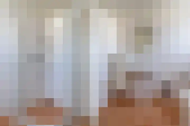 Tulipastrjitte 42 Stiens thumbnail 32