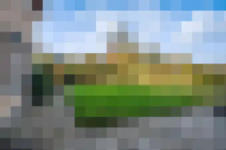 Tulipastrjitte 42 Stiens thumbnail 38