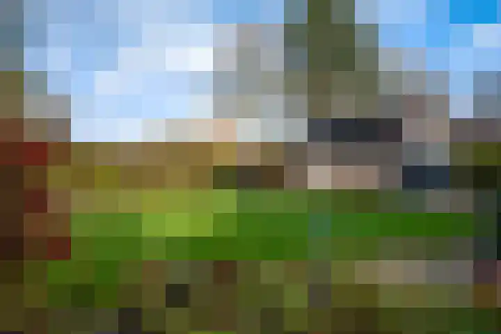 Tulipastrjitte 42 Stiens thumbnail 39