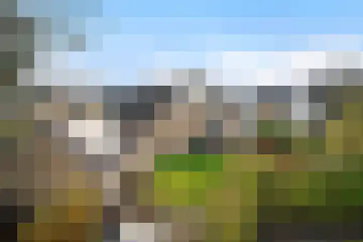 Tulipastrjitte 42 Stiens thumbnail 4