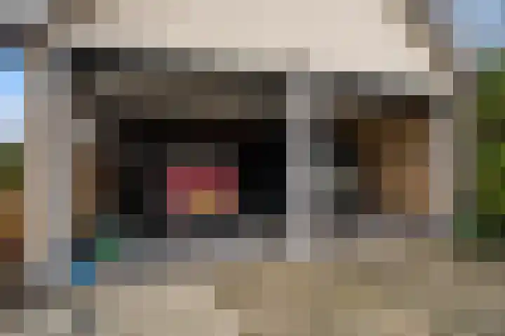 Tulipastrjitte 42 Stiens thumbnail 41