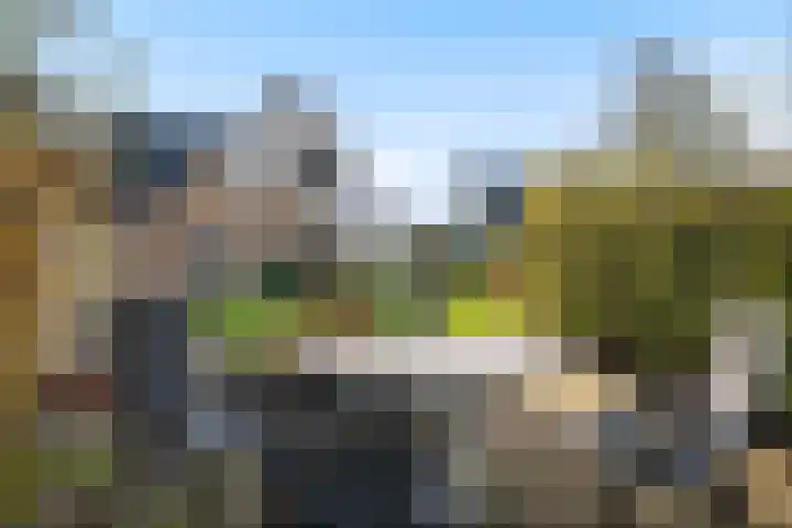 Tulipastrjitte 42 Stiens thumbnail 42
