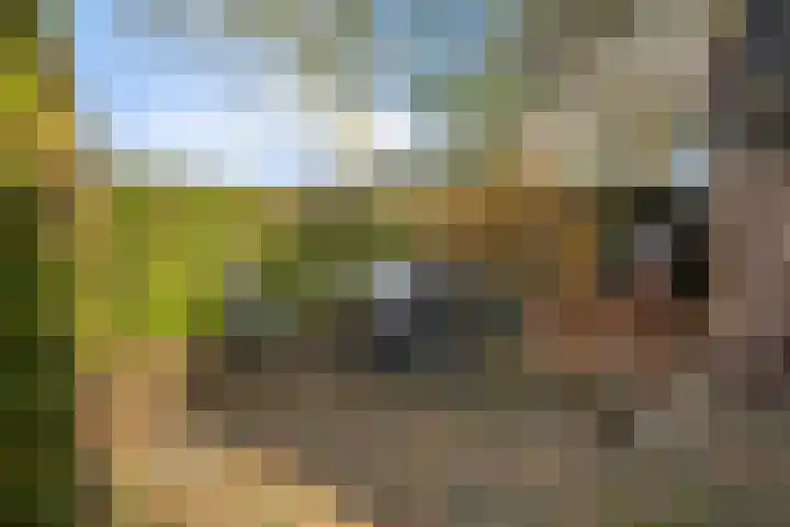 Tulipastrjitte 42 Stiens thumbnail 43