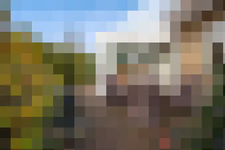Tulipastrjitte 42 Stiens thumbnail 44