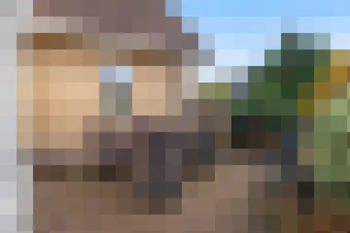 Tulipastrjitte 42 Stiens thumbnail 45