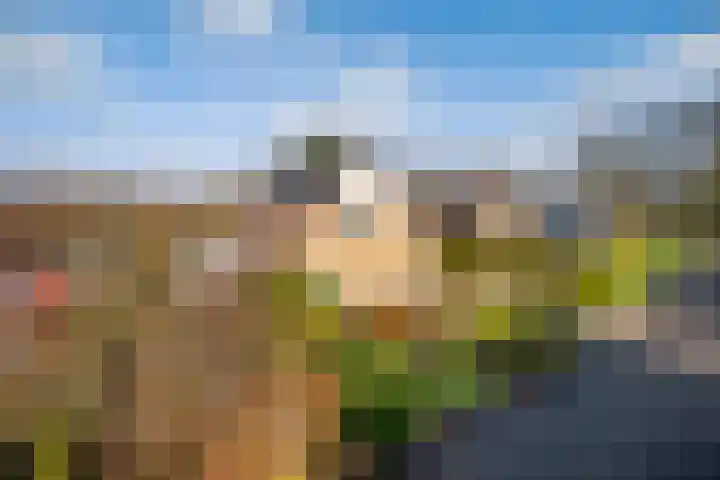 Tulipastrjitte 42 Stiens thumbnail 49