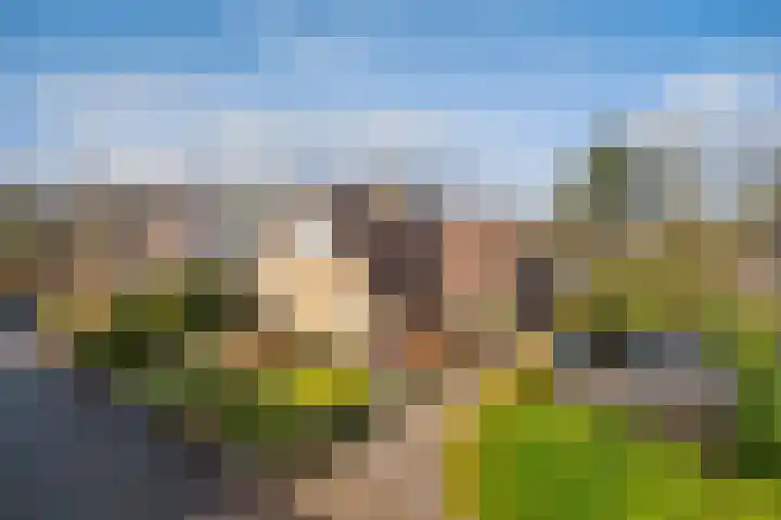 Tulipastrjitte 42 Stiens thumbnail 50