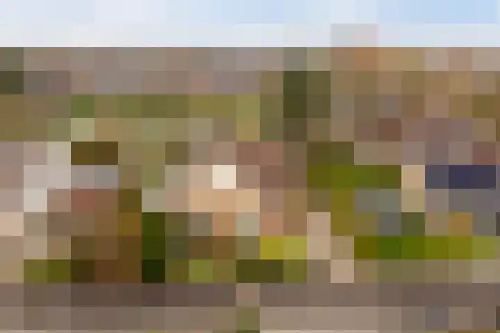 Tulipastrjitte 42 Stiens thumbnail 51