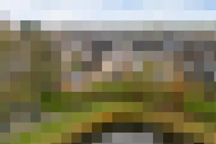 Tulipastrjitte 42 Stiens thumbnail 52