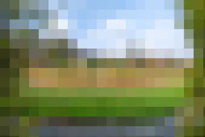 Tulipastrjitte 42 Stiens thumbnail 53